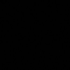 Meet your Posher, Patti